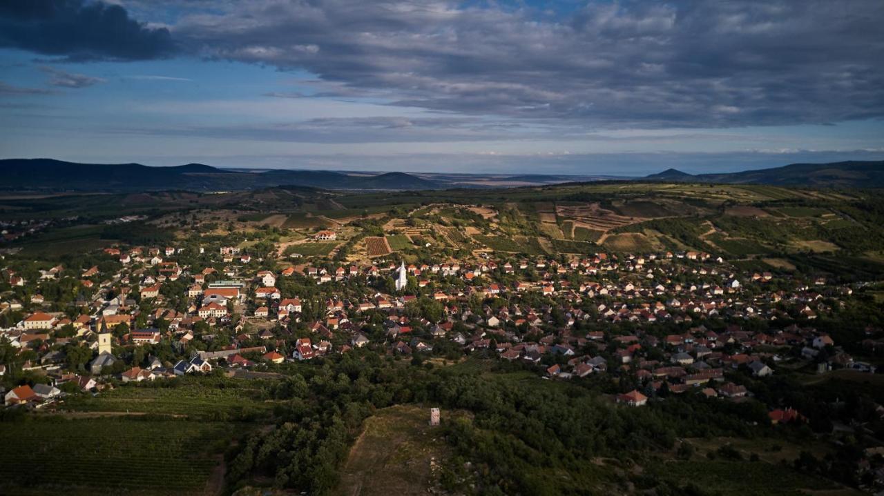 Апартаменты Szarka Vendeghaz Es Pince Мад Экстерьер фото